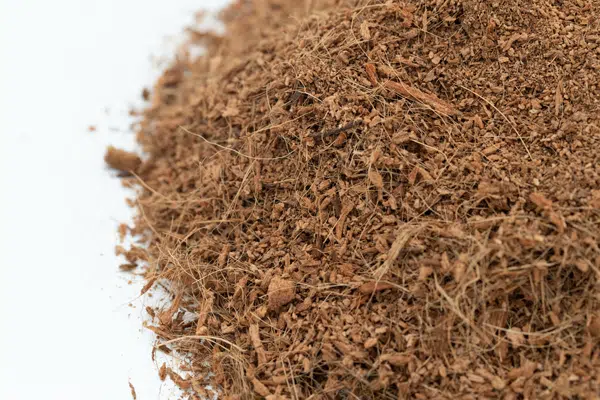 COCONUT-COIR.jpg